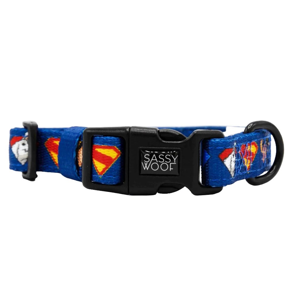 ✨NEW✨SASSY WOOF SUPERMAN & KRYPTO DOG COLLAR